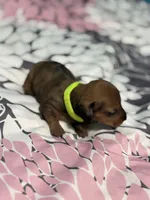 processed/e9714361-0cad-4495-b6b6-fc8aeb98fe3c/listing/5b3e399a-e4b9-4515-88a3-109c5f68f409/1023560d-44e0-4b1f-9dd5-8997edc2bd5c