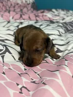 processed/e9714361-0cad-4495-b6b6-fc8aeb98fe3c/listing/5b3e399a-e4b9-4515-88a3-109c5f68f409/447bb58b-e914-4641-881b-aa58169ffa73