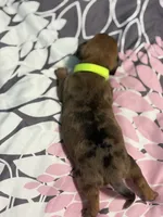 processed/e9714361-0cad-4495-b6b6-fc8aeb98fe3c/listing/5b3e399a-e4b9-4515-88a3-109c5f68f409/f04992ed-fea5-49bb-bdc6-e7b74a27232c