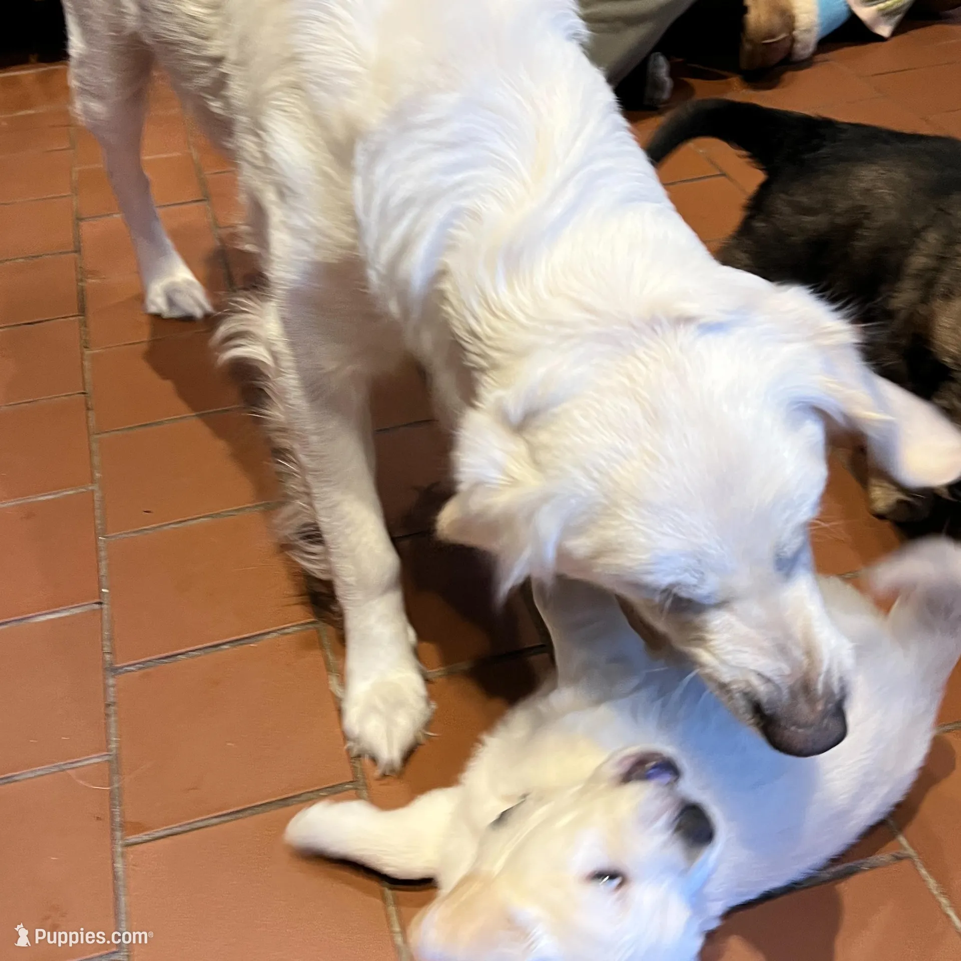 processed/e974a66f-938d-479d-bc7d-d01b200b7566/facility/4f9da90a-f2c4-4375-8cc1-57b04b9200fd