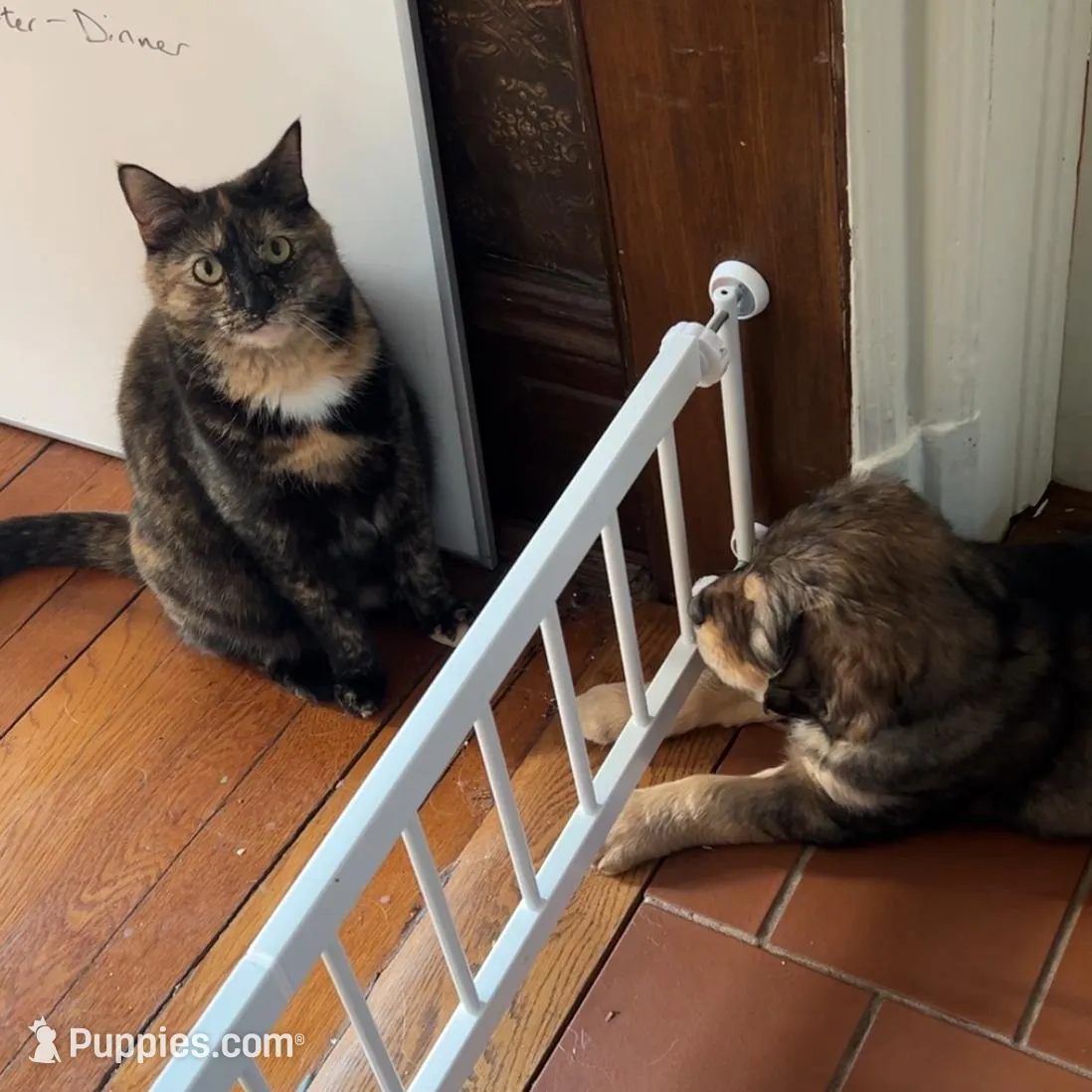 processed/e974a66f-938d-479d-bc7d-d01b200b7566/facility/c6fc7c09-321e-494e-8e1c-9efb1812990a