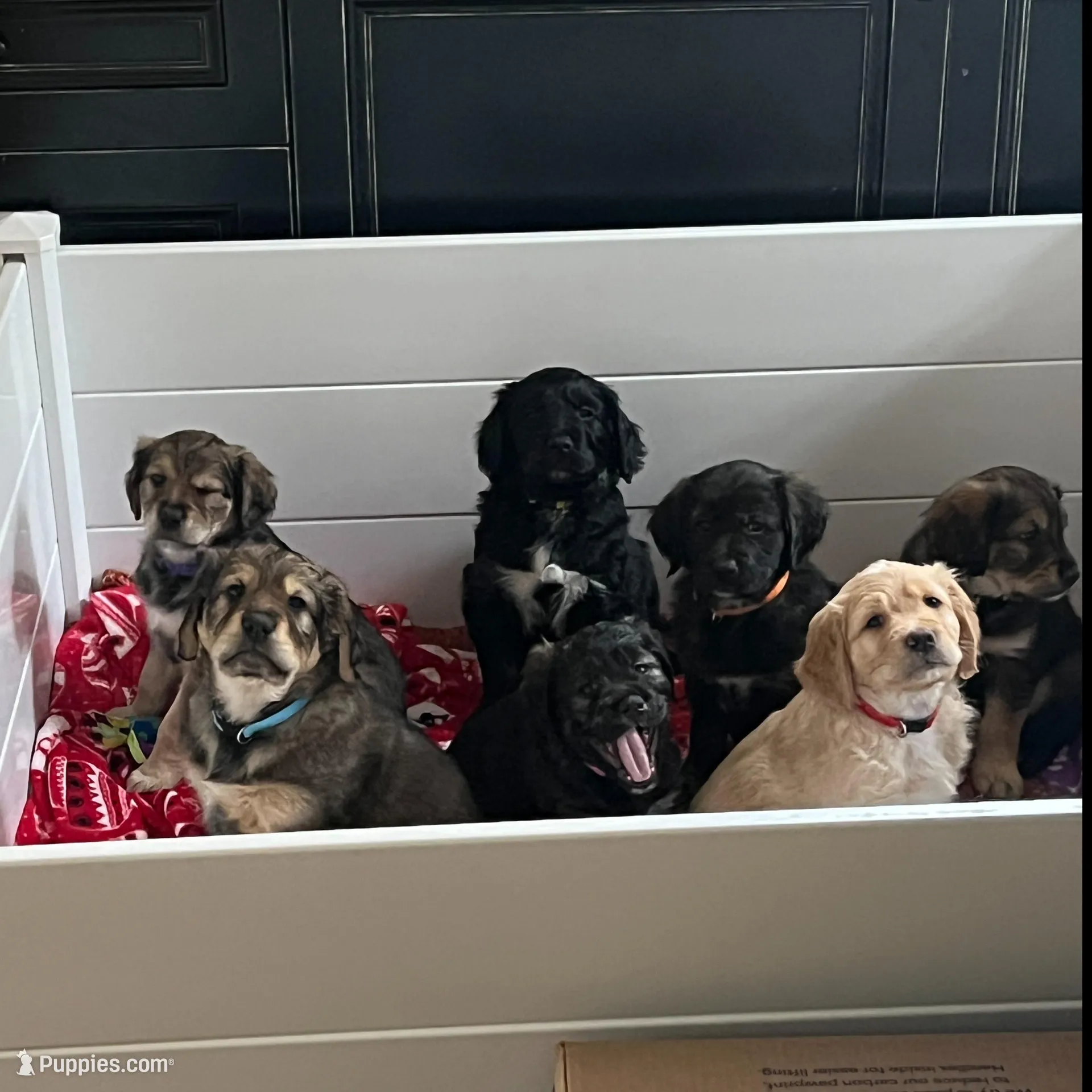 processed/e974a66f-938d-479d-bc7d-d01b200b7566/facility/ceb5ecf9-7109-4481-8204-ae15a40a6ac4