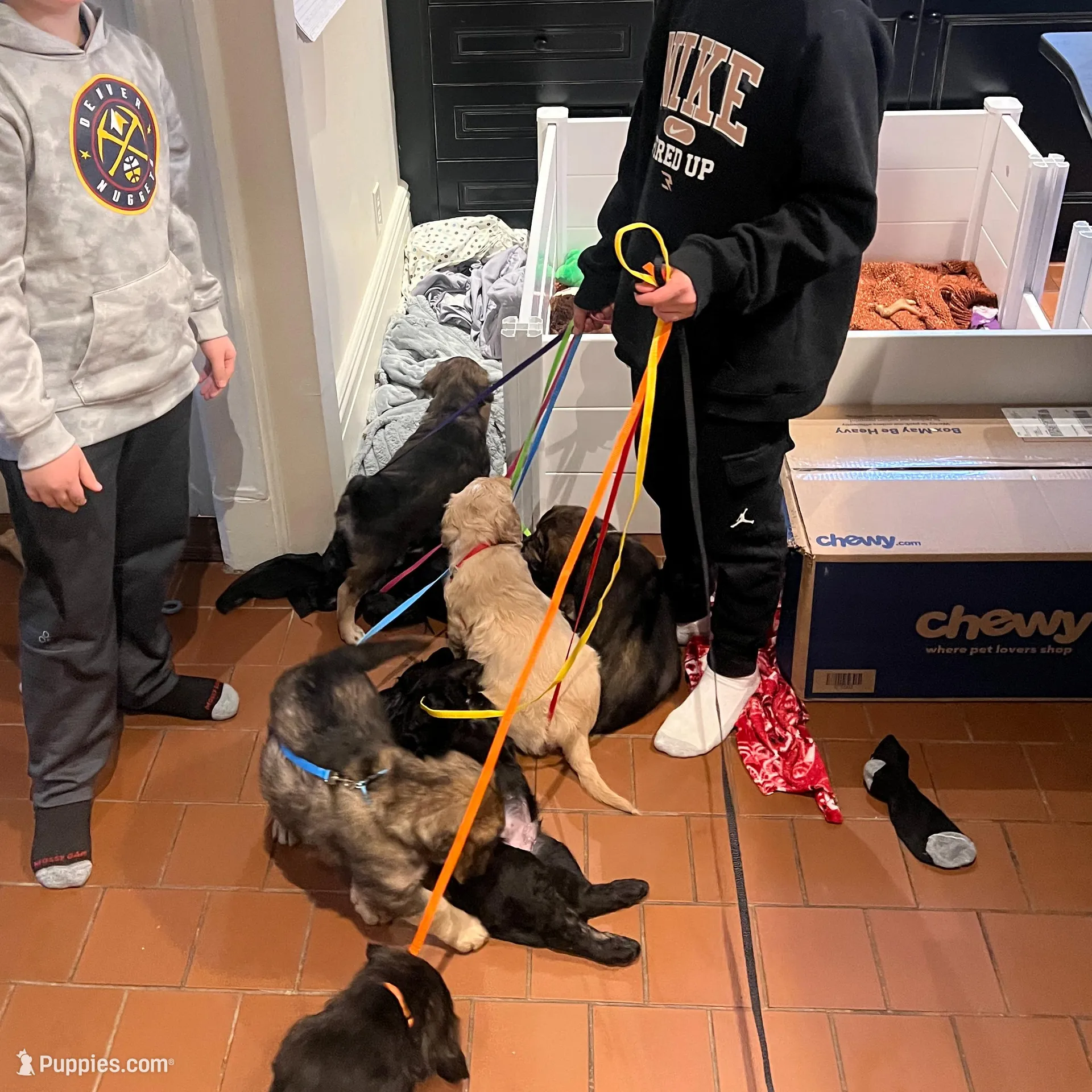 processed/e974a66f-938d-479d-bc7d-d01b200b7566/facility/fd83ada0-71f5-40c4-8d51-d072080f14eb