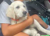 processed/e974a66f-938d-479d-bc7d-d01b200b7566/listing/23088160-fb51-48fc-83b5-103f61a88943/01318046-a2c3-4a31-a1cf-298eee89624e