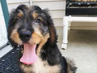 processed/e974a66f-938d-479d-bc7d-d01b200b7566/listing/23088160-fb51-48fc-83b5-103f61a88943/1d43997c-6997-40b4-9769-d10794dfb3f9