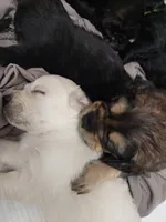 processed/e974a66f-938d-479d-bc7d-d01b200b7566/listing/23088160-fb51-48fc-83b5-103f61a88943/6397804c-62bc-4ba0-97f6-17e31284041f