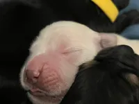 processed/e974a66f-938d-479d-bc7d-d01b200b7566/listing/23088160-fb51-48fc-83b5-103f61a88943/ef5a1e87-2d4d-48f1-ad47-9cbae08d8c79