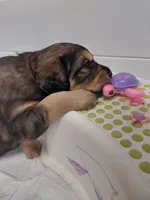 processed/e974a66f-938d-479d-bc7d-d01b200b7566/listing/2666b94e-3b50-4d58-81d1-448297f280da/16adec4d-e926-4b0a-a813-3a3b857e8b70