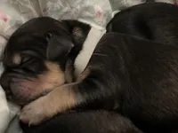 processed/e974a66f-938d-479d-bc7d-d01b200b7566/listing/2666b94e-3b50-4d58-81d1-448297f280da/20eaab19-6bd9-4a71-aa81-f9196401f35d