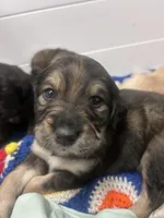 processed/e974a66f-938d-479d-bc7d-d01b200b7566/listing/2666b94e-3b50-4d58-81d1-448297f280da/3c27f27c-4684-46d2-b14f-b3ead7ae0934