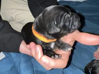 processed/e974a66f-938d-479d-bc7d-d01b200b7566/listing/49206b26-25bf-4a1c-a453-aabc7ad01a85/7d0c7346-04dd-4653-aa70-bffeea62aa7a