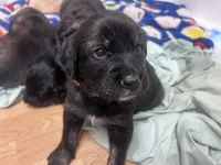 processed/e974a66f-938d-479d-bc7d-d01b200b7566/listing/49206b26-25bf-4a1c-a453-aabc7ad01a85/e3f84fe1-25da-4da9-a76e-d3a5e450fe17