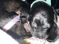 processed/e974a66f-938d-479d-bc7d-d01b200b7566/listing/9ae3aef3-7b9a-42f1-938e-f1dbd3705e67/61381a89-c0b6-4f3a-a787-563686d02614