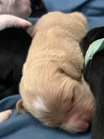 processed/e974a66f-938d-479d-bc7d-d01b200b7566/listing/a118dd76-7c1b-485a-ac98-d9d7b7d4205a/84471a5d-4f8f-469f-aaf9-3000b9523278