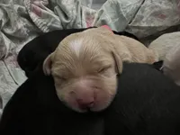 processed/e974a66f-938d-479d-bc7d-d01b200b7566/listing/a118dd76-7c1b-485a-ac98-d9d7b7d4205a/9b21316a-89f6-4b1c-ae43-25e2a73258f8