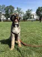 processed/e974a66f-938d-479d-bc7d-d01b200b7566/listing/a118dd76-7c1b-485a-ac98-d9d7b7d4205a/d05ce816-f33d-46c7-a719-f1f4e6e3144e