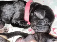 processed/e974a66f-938d-479d-bc7d-d01b200b7566/listing/a6861dbe-7a3e-44de-9e2b-8b83bd9eec7e/f0db4a2c-9020-41ef-adad-30b9d2d43667