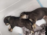 processed/e974a66f-938d-479d-bc7d-d01b200b7566/listing/c072e03f-c3a8-42ba-9759-63615b6306bf/4363d3b9-2622-404b-8920-c29a65f94652