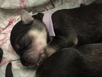 processed/e974a66f-938d-479d-bc7d-d01b200b7566/listing/c072e03f-c3a8-42ba-9759-63615b6306bf/a27cef87-896b-44b5-b4d5-810493868b0a