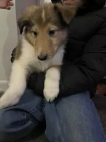 processed/e97a7700-834e-4804-b4f6-f8f7dbaec797/listing/08e2cf5f-ca68-49b1-a491-7c14797a8511/014c2430-b09b-45aa-9997-91f8906800d0