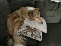 processed/e97a7700-834e-4804-b4f6-f8f7dbaec797/listing/08e2cf5f-ca68-49b1-a491-7c14797a8511/ce455ca6-6173-43bc-8a91-4b2bc5ed4d5d