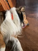 processed/e97a7700-834e-4804-b4f6-f8f7dbaec797/listing/6868e7d8-a504-4f79-88df-6bd6167fdbd8/e0bb87ed-35d0-429d-88c4-6928ca357ab6