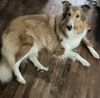 processed/e97a7700-834e-4804-b4f6-f8f7dbaec797/listing/6868e7d8-a504-4f79-88df-6bd6167fdbd8/f0821fde-db90-4d62-b767-35cc67e44215