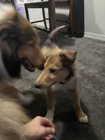 processed/e97a7700-834e-4804-b4f6-f8f7dbaec797/listing/ab2a1e23-9d65-497f-a53f-f1e86e6056ec/4f837744-95e5-4364-b2c1-238cf8080bbb