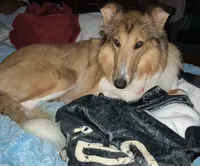 processed/e97a7700-834e-4804-b4f6-f8f7dbaec797/listing/eb788c0d-d276-4f1c-bf7c-e1d759540c17/3bc19c44-d643-403a-b5d4-6afedcb72c77