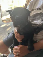 processed/e97b6639-2429-4c15-90f7-4752d78d1dc0/facility/47791a53-ae63-49ca-8ea6-10997ec38e18