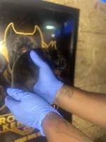     Black Cane Corso Male – Phantom x Isis, a male Cane Corso for sale in Huntsville, AL – Photo 2 of 3