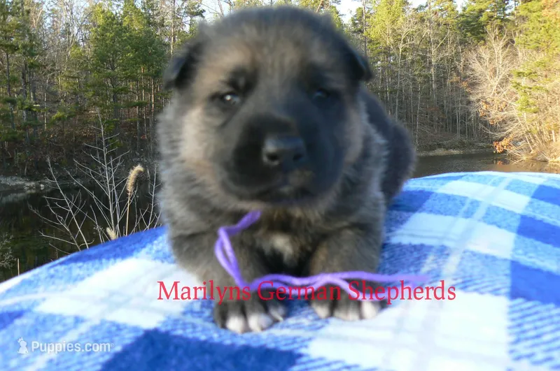 Miami's Mr. Enchanted Waterfalls