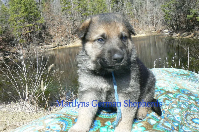 Miami's Mr. Morning Rainstorm