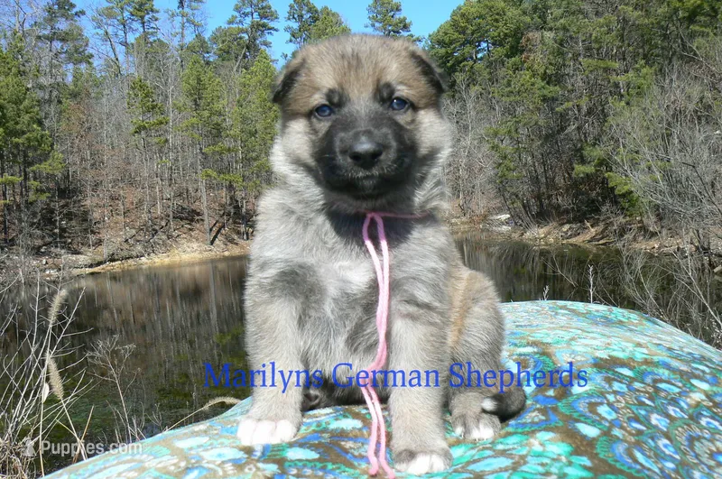 Miami's Miss Cotton Candy Boardwalk