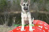 processed/e97f2b74-0b7e-40cf-bf03-954abcf7ba7e/listing/ffa451f8-f52e-46af-b5c8-e86852c2a568/3a8566f0-bbdc-4112-aec6-f49a90cfd2ca