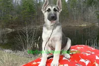 processed/e97f2b74-0b7e-40cf-bf03-954abcf7ba7e/listing/ffa451f8-f52e-46af-b5c8-e86852c2a568/6525fda2-deb5-4e41-80c0-76376c22ef5b