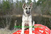 processed/e97f2b74-0b7e-40cf-bf03-954abcf7ba7e/listing/ffa451f8-f52e-46af-b5c8-e86852c2a568/bf25c956-1e20-42e4-b9af-6556a0250614