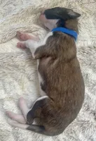 processed/e982f567-6fc0-4ce1-b2c7-e756590c12a6/listing/4277bc2c-7a60-44fd-bd02-50f5041e2bd4/24a33314-55f8-479e-be96-f64a918ae8ec