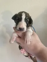 processed/e982f567-6fc0-4ce1-b2c7-e756590c12a6/listing/4277bc2c-7a60-44fd-bd02-50f5041e2bd4/f1ecb54b-2ea9-4af3-bc8c-541dfae0cea2