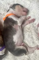 processed/e982f567-6fc0-4ce1-b2c7-e756590c12a6/listing/59521ff2-97a2-432e-9b1e-28032d5072bc/0064a6cb-362d-4053-b050-0bca9d4f250f