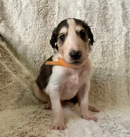 processed/e982f567-6fc0-4ce1-b2c7-e756590c12a6/listing/59521ff2-97a2-432e-9b1e-28032d5072bc/45202775-6d51-4b59-bad1-d348a28bd51c