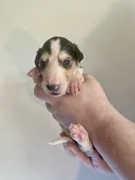 processed/e982f567-6fc0-4ce1-b2c7-e756590c12a6/listing/59521ff2-97a2-432e-9b1e-28032d5072bc/5b112194-5b3a-4e32-9796-167fc9db6124