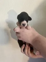 processed/e982f567-6fc0-4ce1-b2c7-e756590c12a6/listing/5e4639f9-e40b-43ff-aae3-dbebfe8ab9dc/388d995b-a291-4627-9976-c5c1156bf0a4