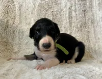 processed/e982f567-6fc0-4ce1-b2c7-e756590c12a6/listing/5e4639f9-e40b-43ff-aae3-dbebfe8ab9dc/5ccc4c85-71e0-447d-b59c-6573ab87e9b1