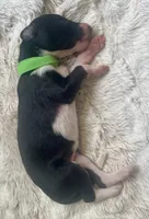 processed/e982f567-6fc0-4ce1-b2c7-e756590c12a6/listing/5e4639f9-e40b-43ff-aae3-dbebfe8ab9dc/f557cad9-2ba9-4064-b302-0369afd9e4e0