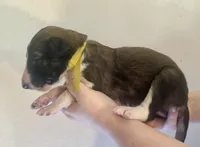 processed/e982f567-6fc0-4ce1-b2c7-e756590c12a6/listing/87083c60-d06b-4ae9-b3df-57bd7f5170ab/9e91d64c-110c-4c52-b663-fd2d7162b7d5