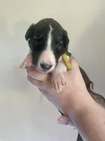 processed/e982f567-6fc0-4ce1-b2c7-e756590c12a6/listing/87083c60-d06b-4ae9-b3df-57bd7f5170ab/a219669c-a4fa-4a04-8589-a75908253b5e