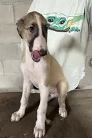 processed/e982f567-6fc0-4ce1-b2c7-e756590c12a6/listing/b5fe037f-b46b-4357-a904-10e41b0ddab7/95ba3486-da42-49f6-8439-4f5d7365629f