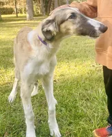 processed/e982f567-6fc0-4ce1-b2c7-e756590c12a6/listing/b5fe037f-b46b-4357-a904-10e41b0ddab7/ae702f21-d2f4-4079-97a5-7780790728e3