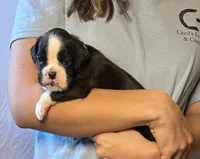 processed/e986b313-0ece-4791-8c8f-411f92d592e9/listing/df10cb68-5880-45a5-a923-578afa32ff38/5bd89678-c7ab-47ce-af1a-2819f34531e4